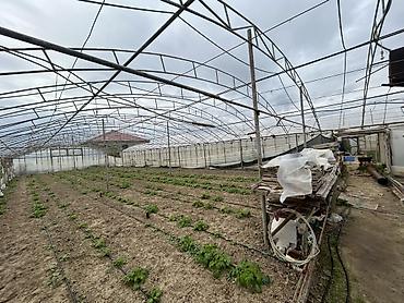 dam ortukleri: İstixana kompleksi – dam örtüyü karkaslı, tam işlək əkin sahələri və — 1