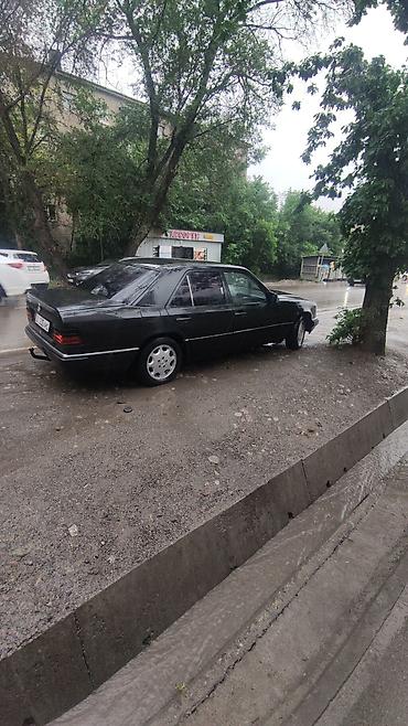 w12: Mercedes-Benz W124: 1991 г., Седан — 2