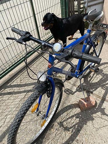 Bicikli za odrasle: KonBIKE muški/uni treking/MTB bicikl, čelični ram TIG Oversize, plave — 8