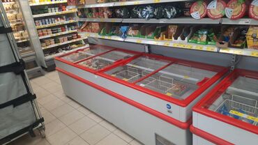 Морозильные шкафы, лари: Турция, Россия, Италия, Б/у, В наличии — 10