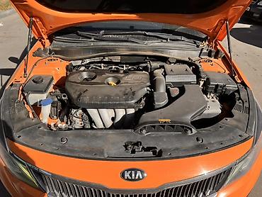 диск оптима: Kia Optima: 2018 г., 2 л, Автомат, Газ, Седан — 1