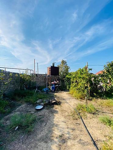 Bağ evlərinin satışı: Bakı, 60 kv. m, 2 otaqlı, Kombi, Qaz, İşıq — 9