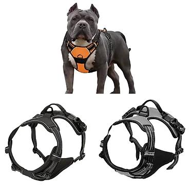 Зоотовары: ПРОДАЮ КОШАЧЬЮ МЯТУ(АНТИСТРЕСС),ПОРАДУЙТЕ СВОГО КОТИКА ТАКОЙ — 8