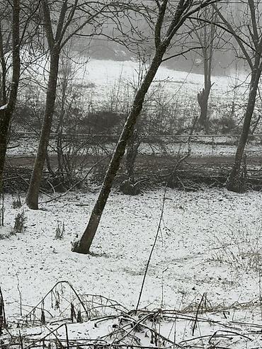 Torpaq sahələrinin satışı: 20 sot, Tikinti, Barter mümkündür, Kupça (Çıxarış) — 9