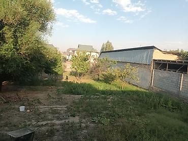 Кыймылсыз мүлк: 5 соток Бизнес үчүн, Электр энергиясы — 1