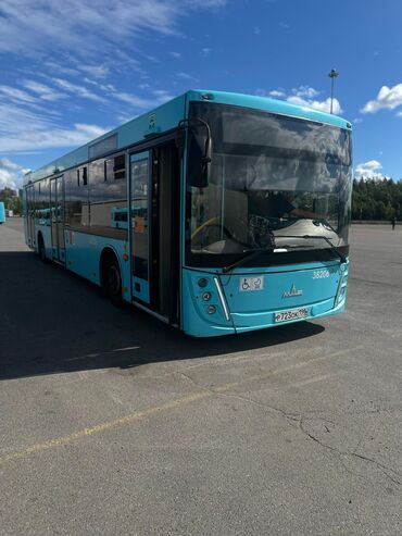 маршрутный линия: Автобус, МАЗ