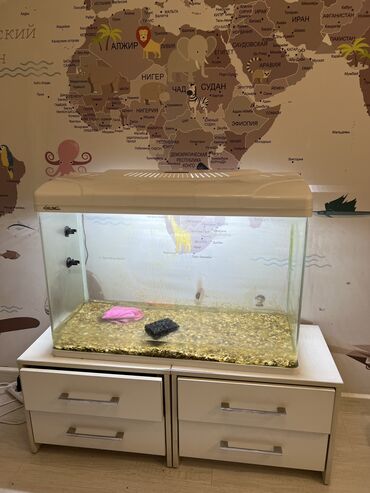 балык аквариум: Продаем аквариум вместе со шкафчиками и кормом декор есть тоже