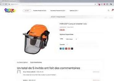 Oprema i sredstva za zaštitu: PARKSIDE Forestry Safety Helmet – šlem za šumarstvo sa vizirom i — 12