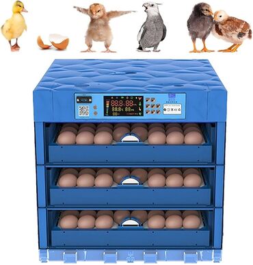 İnkubatorlar: Fabrik istehsalı, Tam avtomat, Bütün növ quşlaq üçün — 12