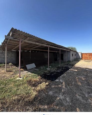 Продажа сельхоз предприятий: Кошара, 40 соток, Действующий, Частично с оборудованием, Электричество, Скважина, Холодная вода — 12