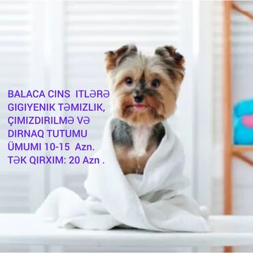 su sızma xidmeti: Grooming salon xidməti