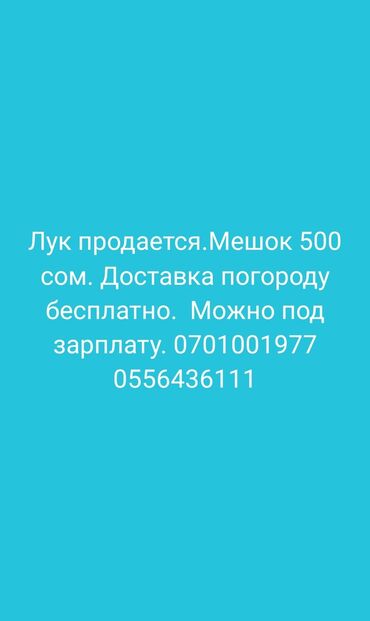 секонд хенд оптом: Лук Оптом, Бесплатная доставка