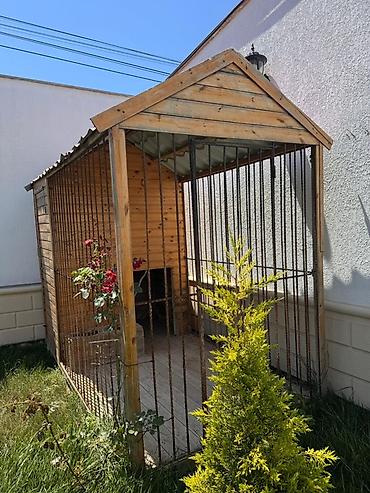 it ucun qefes: Həyət üçün iri ölçülü it volyeri və taxta it evi - Konstruksiya: Ön — 2