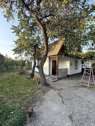 я ищу дача: 2 комнаты, 5 м², 5 соток, Электричество, Холодная вода, Септик — 2