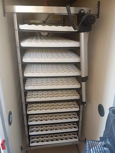 İnkubatorlar: Teze aparatdir 2400 ədəd yumurta tutur.tam avatomatdir.cemi 4 çıxış -da lalafo.az — 12 İnkubatorlar: Teze aparatdir 2400 ədəd yumurta tutur.tam avatomatdir.cemi 4 çıxış — 12