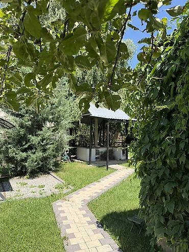 Продажа дачи: Продается дача в Кашка суу в СТ «Наука» Участок 6 соток красная книга — 27