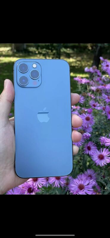 держатель для наушников: IPhone 12 Pro Max, Жаңы, 128 ГБ, Көк, Кулакчындар, Заряддоочу түзүлүш, Коргоочу айнек, 81 %