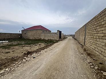 mehemmedi torpaq satilir: 4 sot, Kənd təsərrüfatı, Mülkiyyətçi, Kupça (Çıxarış) — 7