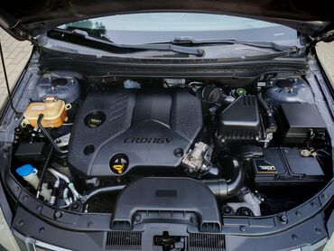 Hyundai: Hyundai i30: 1.6 l | 2008 il Universal — 6