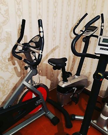 Спорт и хобби: Velotrenajor veloxizek — 1