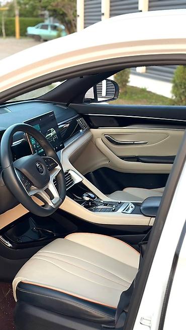 BYD: BYD Song Plus: 2021 г., 1.5 л, Робот, Электромобиль, Универсал — 8