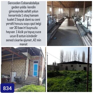gəncədə torpaq: Kənd təsərrüfatı, Kupça (Çıxarış)