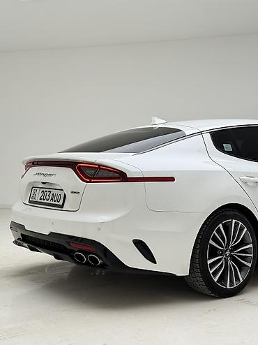 Kia: Kia Stinger: 2019 г., 2.2 л, Автомат, Дизель, Хэтчбэк — 26
