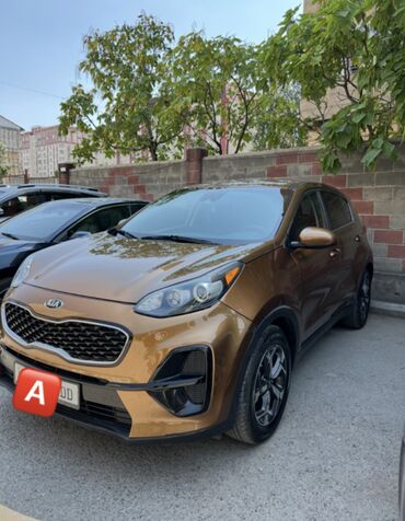 Kia: Kia Sportage: 2019 г., 2.4 л, Автомат, Бензин, Кроссовер