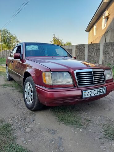 mercedesbenz e 240: Mercedes-Benz E 250: 2.5 l | 1992 il Sedan