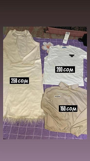 Лосины, леггинсы: Женская одежда и аксессуары — несколько позиций 1) Сумка черная - — 7