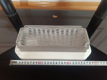 ağ tülpan qiyməti: Suvaq üstü işıq