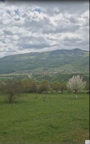 Torpaq sahələrinin satışı: 150 sot, Biznes üçün, Mülkiyyətçi, Kupça (Çıxarış) -da lalafo.az — 3 Torpaq sahələrinin satışı: 150 sot, Biznes üçün, Mülkiyyətçi, Kupça (Çıxarış) — 3