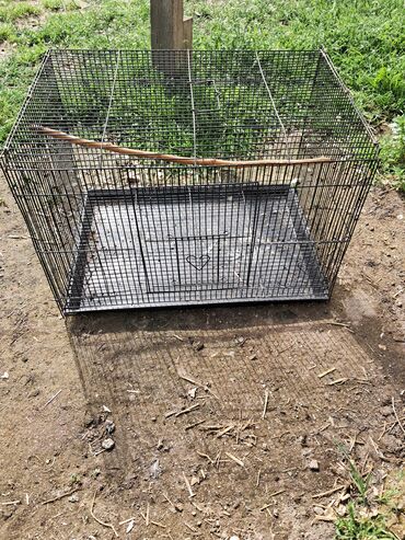 Yuvalar: Qefesderin her biri satilir — 9