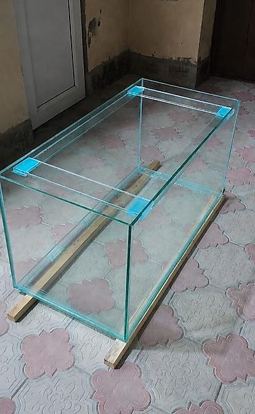 qus satisi: Dördbucaq akvarium, Boş, 250 l, Ödənişli çatdırılma — 1