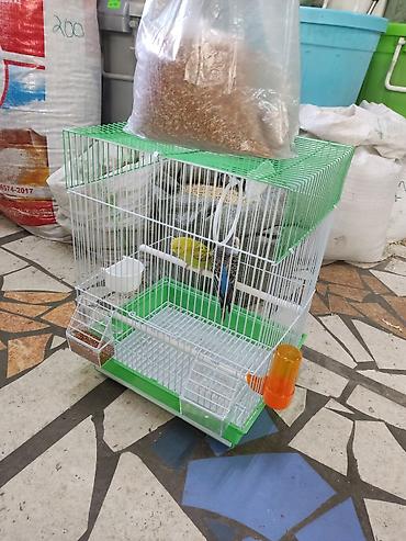 Зоотовары: Клетки для птиц — 12