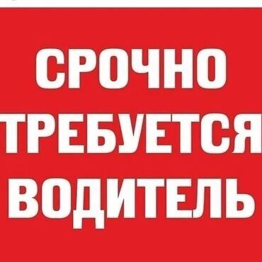 работа менеджера: Требуется опытный семейный водитель для развозки детей. Возраст