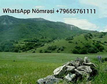 xirdalan abseron city kiraye evler: 10 sot, Tikinti, Mülkiyyətçi, Kupça (Çıxarış), Bələdiyyə, Müqavilə — 2