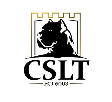 Psi: Cane Corso štenci U ponudi veoma perspektivni štenci iz različitih — 9