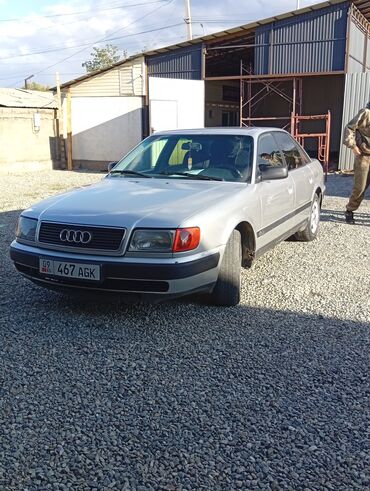 сумка на крышу автомобиля: Audi 100: 1994 г., Седан
