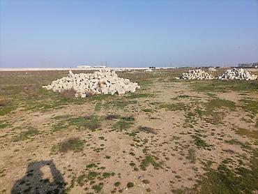 kend ehmedli: Tikinti, Mülkiyyətçi, Kupça (Çıxarış) — 4