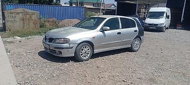gac aion y: Nissan Almera: 2002 г., 1.8 л, Механика, Бензин, Хэтчбэк — 3