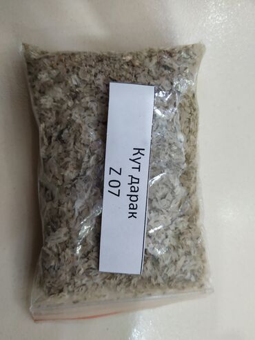 семена павловнии: Продаю семена павловнии(Кут дарак)морозоустойчивые, гибридные сорта