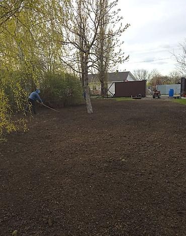 Другие товары для дома и сада: Услуги Садовника Стрижка живой изгороди Уборка дикой травы Покос at lalafo.kg — 3 Другие товары для дома и сада: Услуги Садовника Стрижка живой изгороди Уборка дикой травы Покос — 3