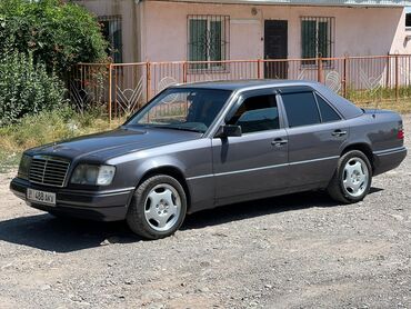 купить страуса цена: Mercedes-Benz W124: 1994 г., 3.2 л, Автомат, Газ, Седан