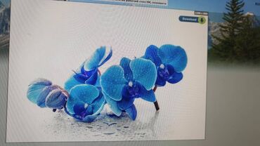 Натяжной потолок: Натяжной потолок Глянцевое, Матовое, 3D потолки Бесплатная консультация, Демонтаж, Бесплатный замер — 7