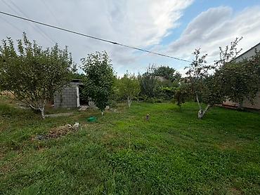 Дома: Продается дом 76 м² с участком 6 соток - 125т$ Дом построен из кирпича — 10