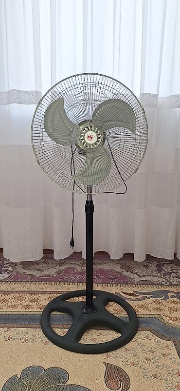 Ventilyatorlar: Təzə
45 azn
Ünvan: Lökbatan, Qobu Park 1
051 562 15 14 — 3
