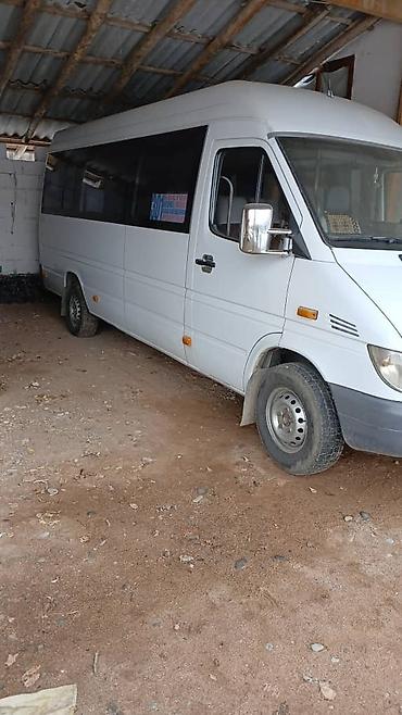 w210 e320: Пассажирский микроавтобус Mercedes‑Benz Sprinter (длинная база — 4