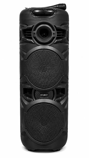 dinamik: №: 11248 Məhsulun adı: Portativ dinamik GY-8817 Brend: No Brand — 1