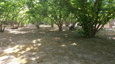 Həyət evləri və villaların satışı: Qiymət sondur. Əla yerləşmə: Heydər Əliyev küçəsi Yalama kəndinin — 8